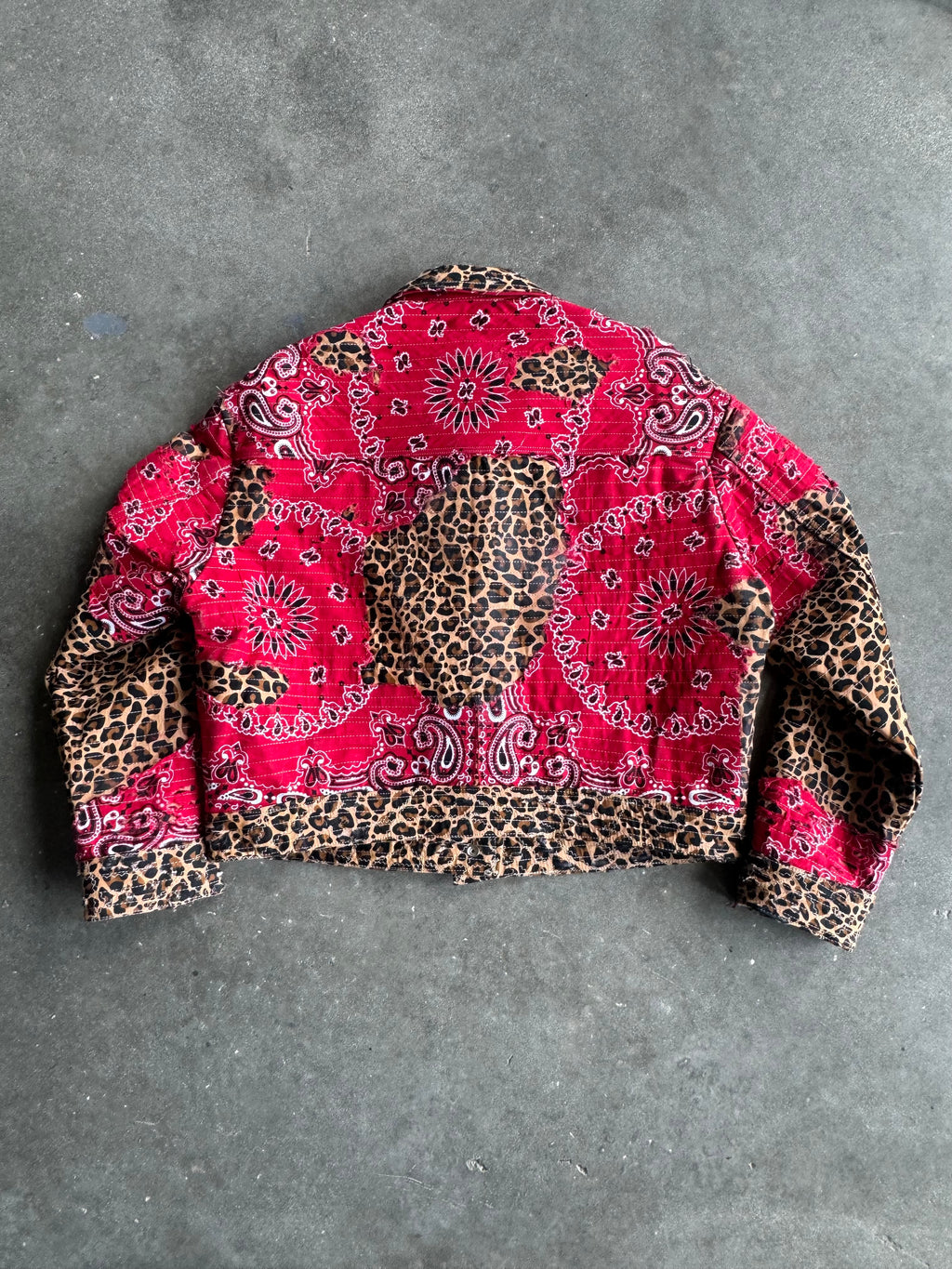 1/1 Red Leopard