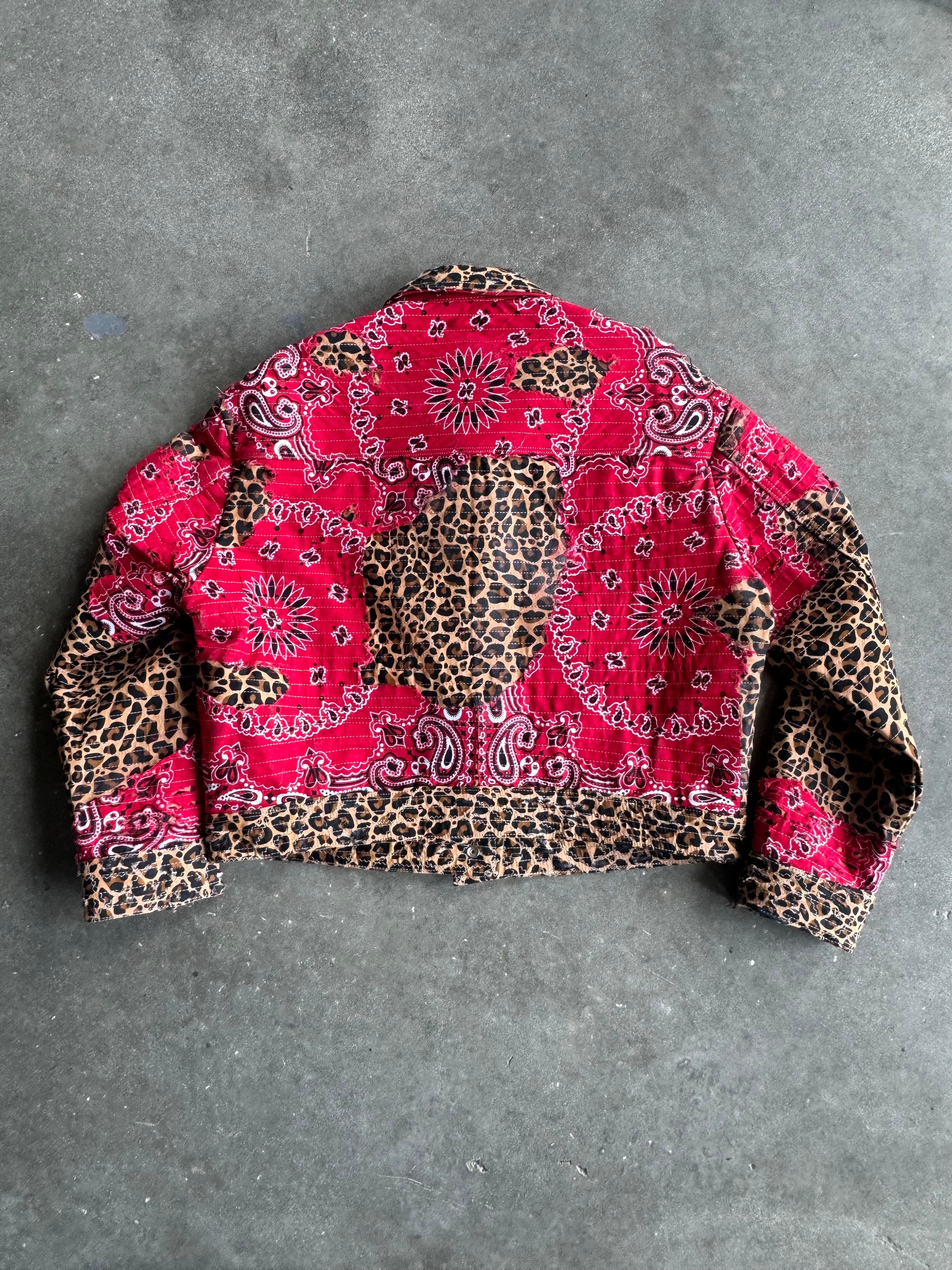 1/1 Red Leopard