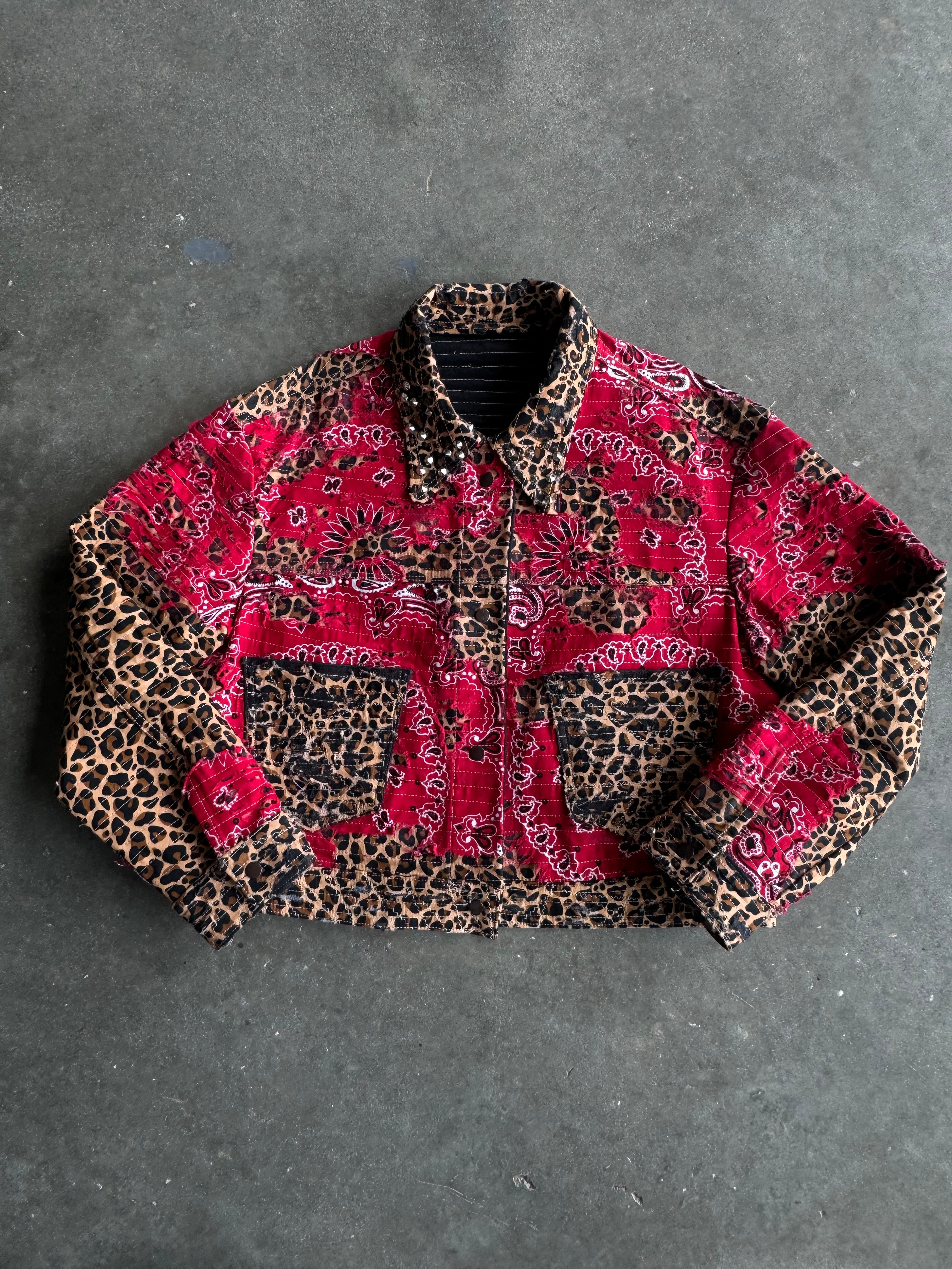 1/1 Red Leopard